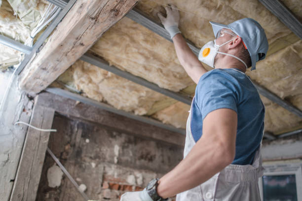 Best Insulation Replacement Services  in USA